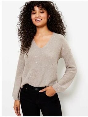 NWOT Ann Taylor LOFT Sequin Doubleweave V-Neck Relaxed Sweater Grey Large